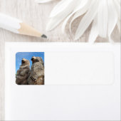 Beren Etiket (Insitu)