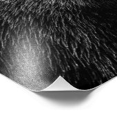 Beren foto van Beauful Grizzly Afdruk (Hoek)