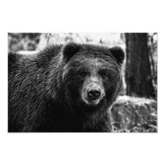 Beren foto van Beauful Grizzly Afdruk