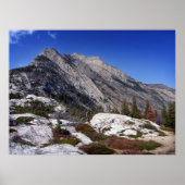 Beren Hump I Poster (Voorkant)