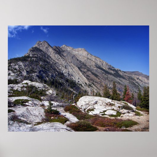 Beren Hump I Poster (Voorkant)