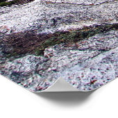 Beren Hump I Poster (Hoek)