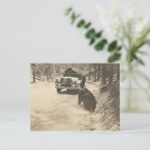 beren in de auto briefkaart (Staand voorkant)