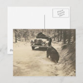 beren in de auto briefkaart (Voorkant / Achterkant)