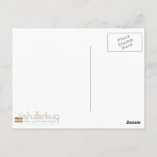 Beren in de Bossen Briefkaart (Achterkant)