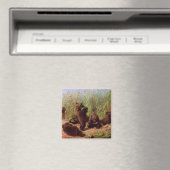 Beren in de Watermelonpleister (door W.H. Beard) Magneet (Insitu (Vaatwasser))