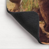 Beren in de Watermelonpleister (door W.H. Beard) Muismat (Hoek)