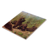 Beren in de Watermelonpleister (door W.H. Beard) Tegeltje (Zijkant)