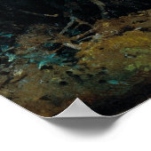 Beren in het bos poster (Hoek)