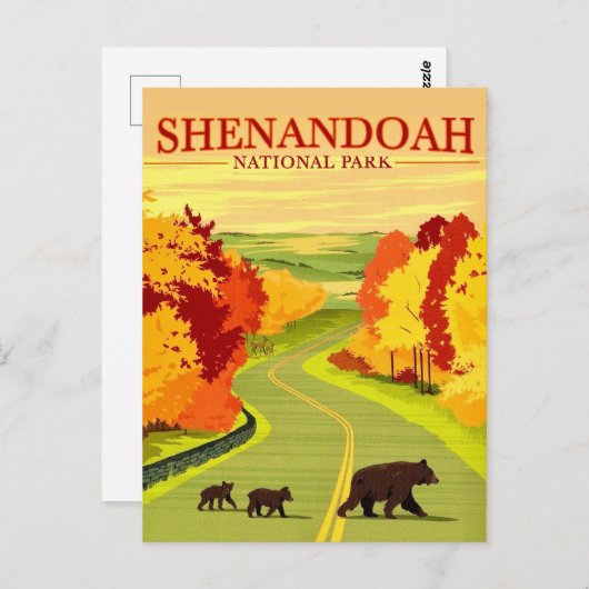 Beren in Shenandoah NP-ansichtkaart Briefkaart (Voorkant / Achterkant)