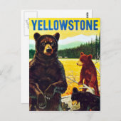 Beren in Yellowstone Travel Briefkaart (Voorkant / Achterkant)