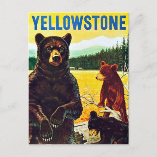 Beren in Yellowstone Travel Briefkaart (Voorkant)