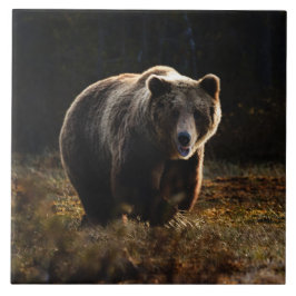 Beren keramische Tegel Tegeltje