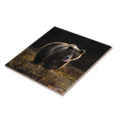 Beren keramische Tegel Tegeltje (Zijkant)