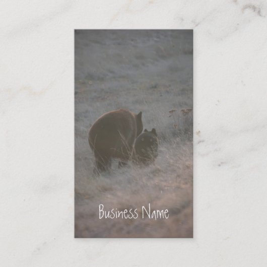 Beren lopen op zonsondergang; Promotie Visitekaartje (Voorkant)
