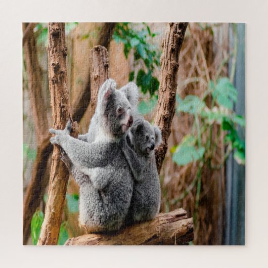 Beren Moeder en Baby Koala Legpuzzel (Verticaal)