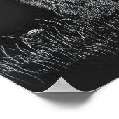 Beren Natuur Wildlife Tekening Zwart wit Poster (Hoek)