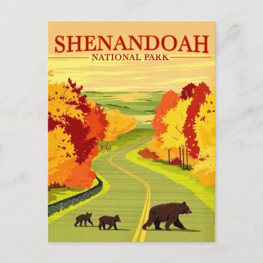 Beren op Shenandoah NP-ansichtkaart Briefkaart (Voorkant)