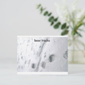 beren sporen, beren sporen briefkaart (Staand voorkant)