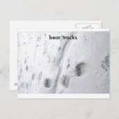 beren sporen, beren sporen briefkaart (Voorkant / Achterkant)