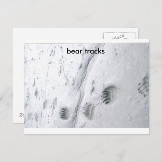 beren sporen, beren sporen briefkaart (Voorkant / Achterkant)