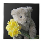 beren tegel tegeltje (Voorkant)