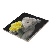 beren tegel tegeltje (Zijkant)