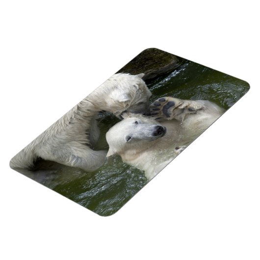 Beren tegen polen magneet (Linkerzijde)