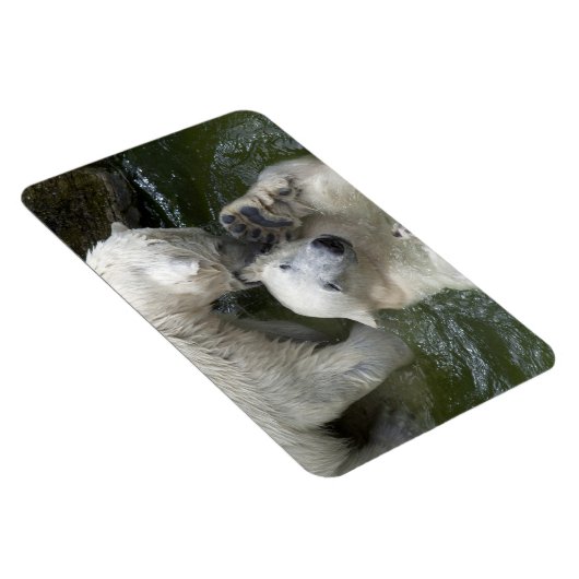 Beren tegen polen magneet (Rechterzijde)