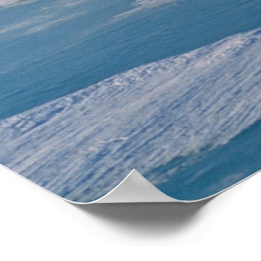 Beren tegen polen poster (Hoek)