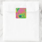 beren van fluorescerende koala vierkante sticker (Tas)