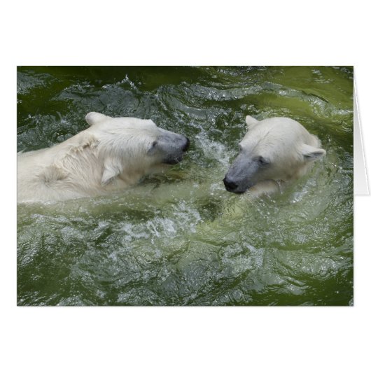 Beren van watervun poar (Voorkant Horizontaal)