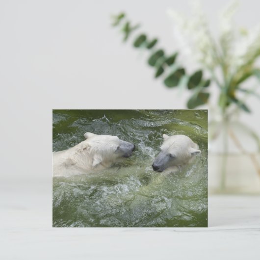 Beren van watervun poar briefkaart (Staand voorkant)