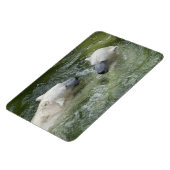 Beren van watervun poar magneet (Linkerzijde)