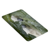 Beren van watervun poar magneet (Rechterzijde)