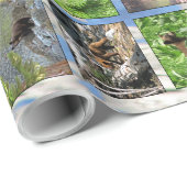 Beren Verpakkingspapier Cadeaupapier (Rol Hoek)