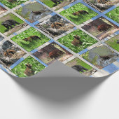 Beren Verpakkingspapier Cadeaupapier (Hoek)