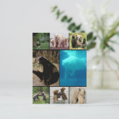 Beren voor afspelen briefkaart (Staand voorkant)