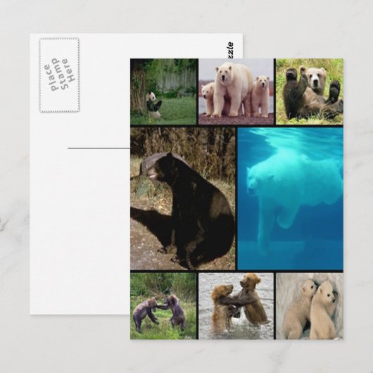 Beren voor afspelen briefkaart (Voorkant / Achterkant)