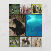 Beren voor afspelen briefkaart (Voorkant)