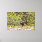 Beren welpen canvas afdruk (Voorkant)