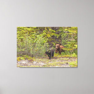 Beren welpen canvas afdruk