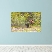 Beren welpen canvas afdruk (Insitu (Houten vloer))