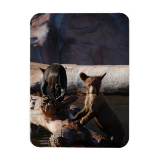 Beren welpen in watermagneet magneet