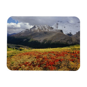 Berendruif in de vroege herfst Athabasca Peak in d Magneet