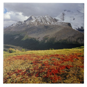 Berendruif in de vroege herfst Athabasca Peak in d Tegeltje