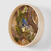 Berg Bluebird in Arches National Park (Hoek)