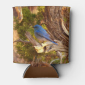 Berg Bluebird in Arches National Park Blikjeskoeler (Voorkant)