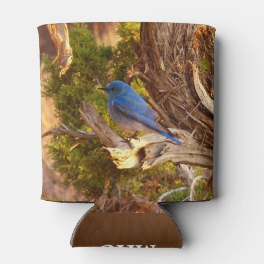 Berg Bluebird in Arches National Park Blikjeskoeler (Achterkant)