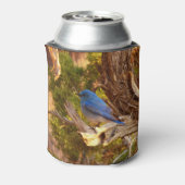 Berg Bluebird in Arches National Park Blikjeskoeler (Blikje Achterkant)